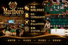 2模糊.jpg