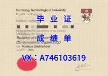南洋理工大学.jpg