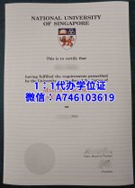 新加坡国立大学.jpg