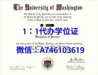 华盛顿大学.jpg