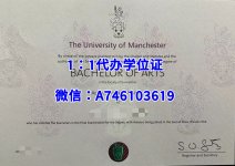 微信图片_2025-05-29_201554_469_副本.jpg