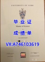 约克大学.jpg